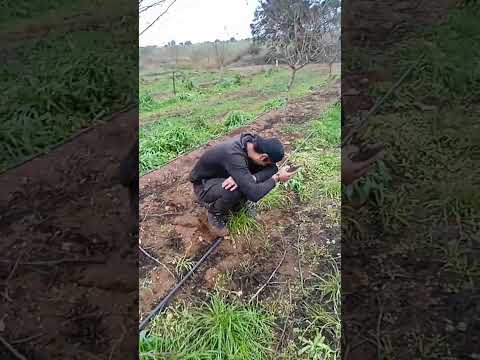 Portugal work Permit// Work in Portugal