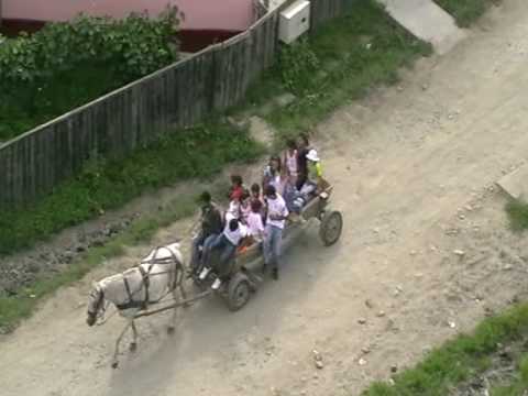 06 - Raciu 20 iulie 2010 - cu caruta spre targ