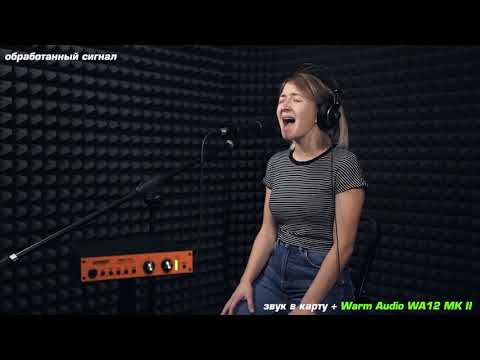 WARM AUDIO WA12 MK II Black