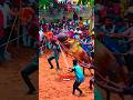 108 King Mass Entry Jallikattu Eruthattam Kaalai