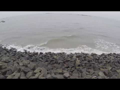 Beach Trip Thallesery