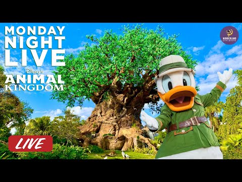 🔴 Monday Night Live A Wild Evening at Disney's Animal Kingdom | Walt Disney World