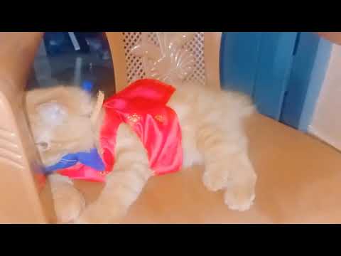 Charu❤️❤️❤️