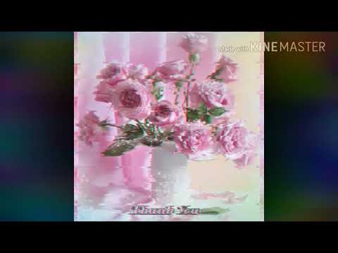 $igil feat. omenxiii - on me (prod. purpdogg)