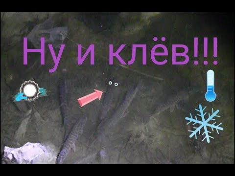Щука, как из пулемёта! /Микроджиг зимой! 22.01.2018