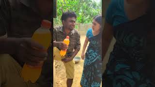 সব বিনোদন পাগল এক জায়গায়