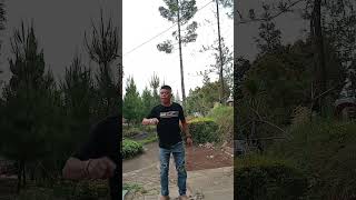 Download lagu komedian sunda salah nyarekan  #komedilucu #vidiolucuwa mp3