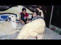 Bohot Busy Thi Isiliye Vlog Nhi Aaya Ab Daily Vlog Vlogs