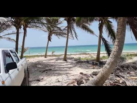 August 01, 2021 - Exploring Long Beach & Chancery Lane Live