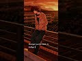Khairiyat Pucho Kabhi Toh Love Status In Hindi Whatsapp Status In Hindi Anime Status In Hindi