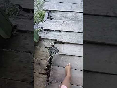 Escola de porto Said zona rural de Porto Walter Acre é um perigo