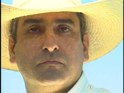 Reportagem Cavalo pantaneiro- José Hamilton Ribeiro, Globo Rural