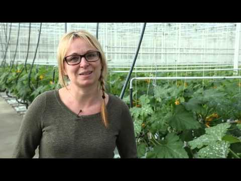 MNM: Waarom moet jouw school meedoen aan De Strafste School 2016? (PTS in Mechelen)