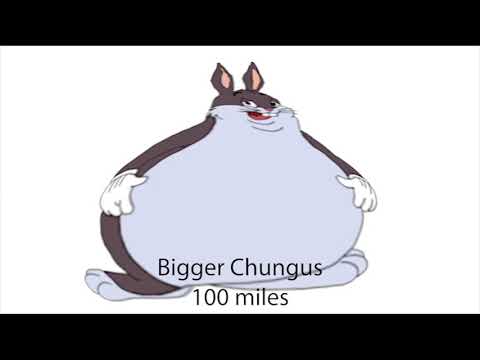 Big Chungus size comparison