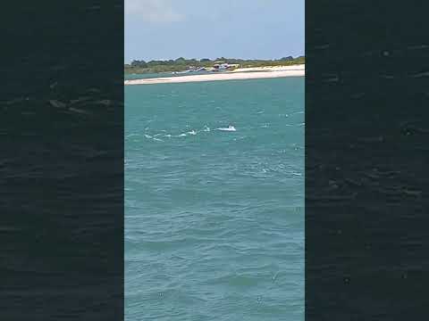 linda maré, Barra nova marechal deodoro-AL #shorts