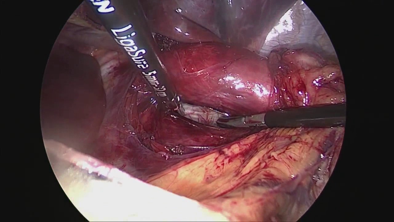 M. Ferhat Ferhatoğlu-26