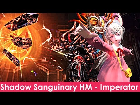 【TERA】「Priest」SSHM - Nightmare Imperator Highscore Run (17,869)