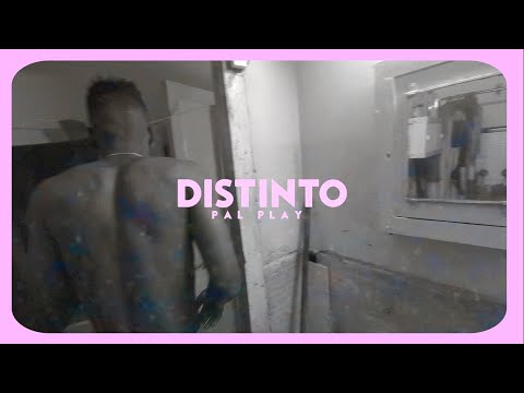 PUPY PAL PLAY - DISTINTO