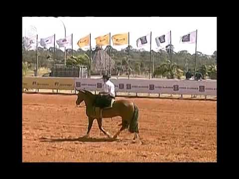 Aberta Brasília – 1° lugar machos – Hino da Saff