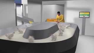 Poultry equipment. Robotized harvesting Model. #Broiler #cage #systems