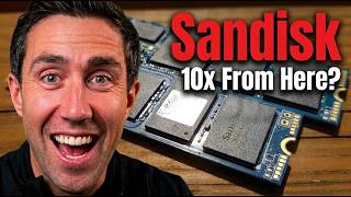 SanDisk Stock Risks & Breakdown — Full Breakdown & Transcript