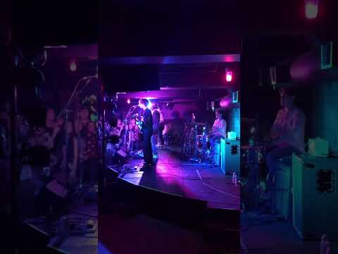 Sugarcoat - Kid Bloom