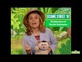 Sesame Street 07 The Adventures Of Gina The Veterinarian