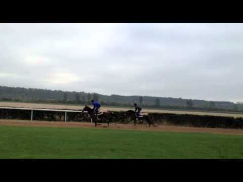 Welfenkönig [GER], 2010 v. Soldier Hollow - Well Known