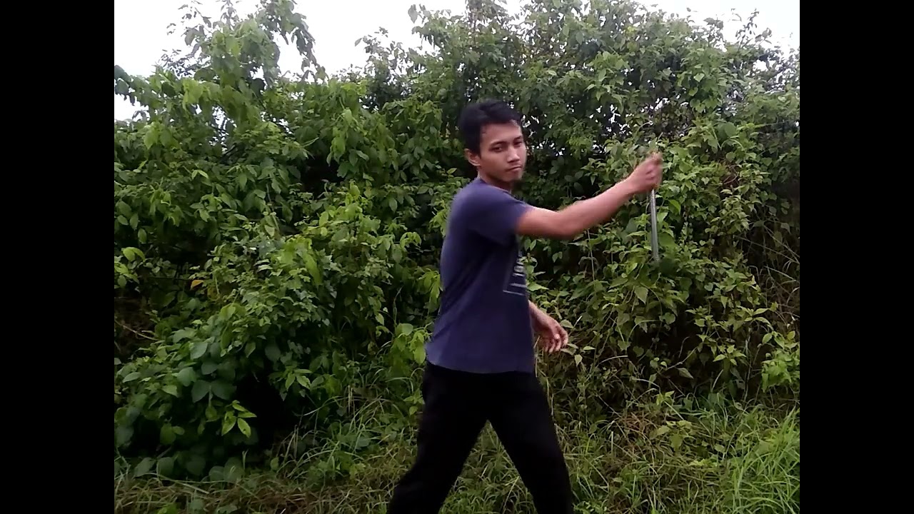 Amiin Rais | Indonesia