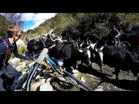 That bike is gonna get stomped | Mountain Biking Tibet Part 5