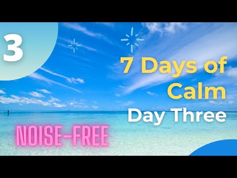 [noise-free] The 7 Days of Calm | Day 3 :  Paying Attention | Meditation