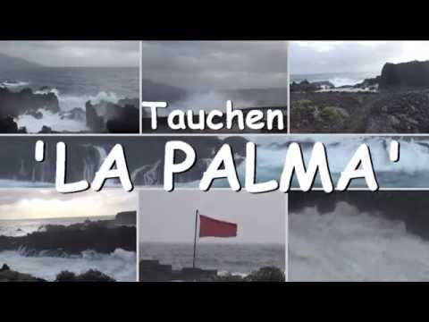 Tauchen La Palma, Playa Nueva, Kanarische Inseln/La Palma/Playa Nueva (Los Guirres),Spanien