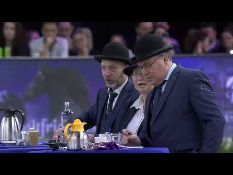 HK 2026 – Rubriek 7 – Keuring van de ingeschreven stamboekhengsten goedgekeurd vanaf dekseizoen 2024