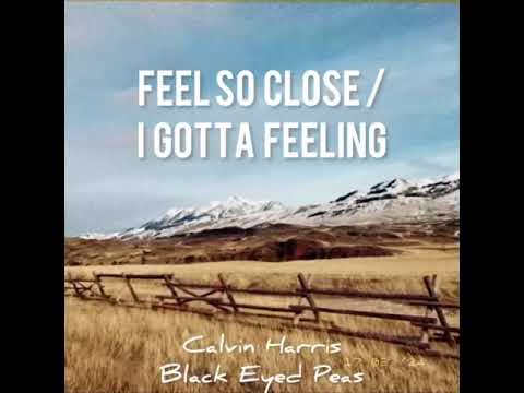 Feel so Close / I Gotta Feeling (Calvin Harris and Black Eyed Peas Mashup)