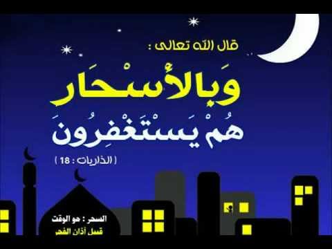 MohamedBaumy’s Video 22857832301 fnfUSM93Nz4