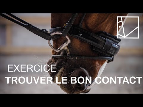 THE SECRET OF GOOD CONTACT / TECHNICAL SERIES #15 /