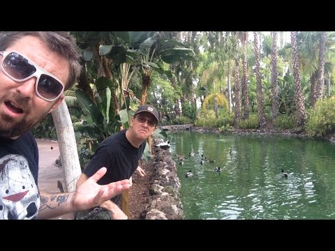 TDW 1200 - Extinct Attraction : Jungle Island Lagoon
