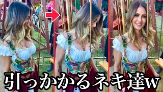 【面白ハプニング】フェンスや木に引っかかるネキ達の面白映像まとめ | Stuck in Fence Compilation