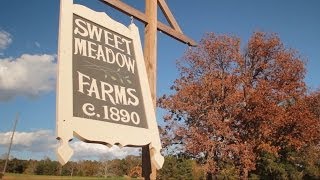 preview picture of video 'A Fall Wedding At Sweet Meadow'