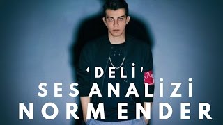 Norm Ender Ses Analizi
