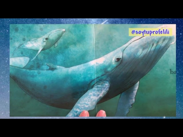 Vídeo relacionado con El mar (DONDE VIVEN LOS ANIMALES)