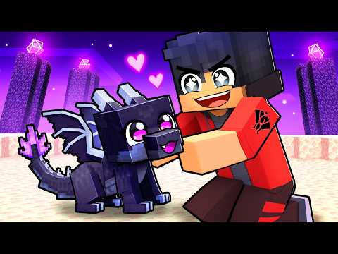 I'm a BABY ENDER DRAGON!