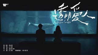 Download lagu 白鹿《透明爱人》官方MV（ ） mp3