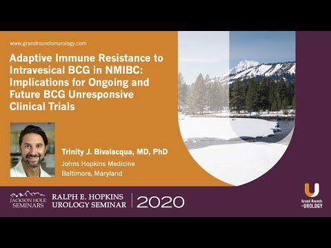 Adaptive Immune Resistance to Intravesical BCG In NMIBC: BCG-Unresponsive Clinical Trials