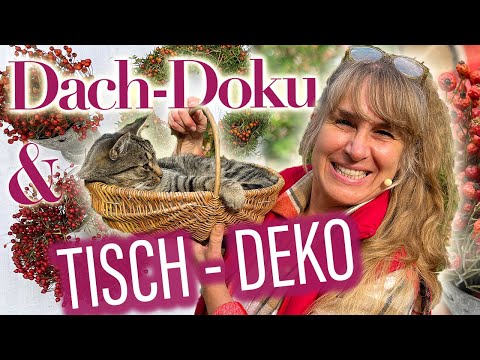 🌹Verjüngungskur für Rambler 🌼 Ihre FRAGEN beantwortet 🍁 + HERBST DEKO IDEEN 🍁🐱 + Kater Seppl