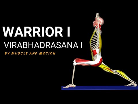 Warrior I (Virabhadrasana I) - Yoga Pose Tutorial by Muscle and Motion