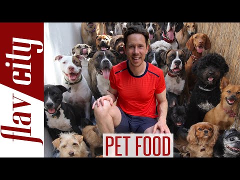 Pet Food Review - The BEST Food For Dogs & Cats...And What To Avoid!
