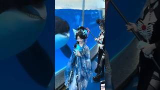Download lagu Orca Loves Chinese Girls 🥰 #douyin #sister #chinesegirl #cosplay mp3 Download lagu Orca Loves Chinese Girls 🥰 #douyin #sister #chinesegirl #cosplay mp3