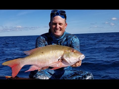 SPEARFISHING for DELICIOUS Fish! {Catch Clean Cook} Whole Roasted Snapper