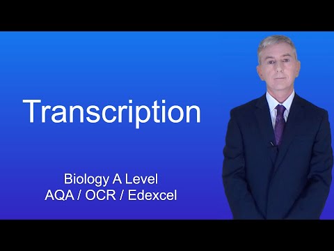 A Level Biology Revision "Transcription"